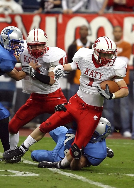 的土地退化 的土地退化